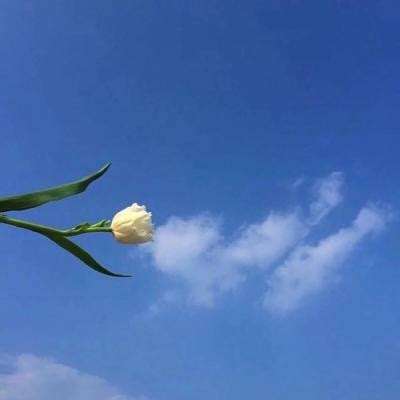 三国群英传2网络版手游下载
