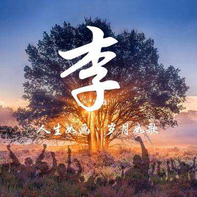 勇闯魏蜀吴手游